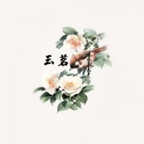 玉茗茶骨二小姐感情线